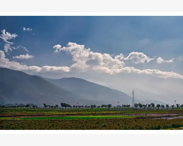 MT4图表模板导入失败常见原因与解决路径_利用文件资源管理器搜索功能查找